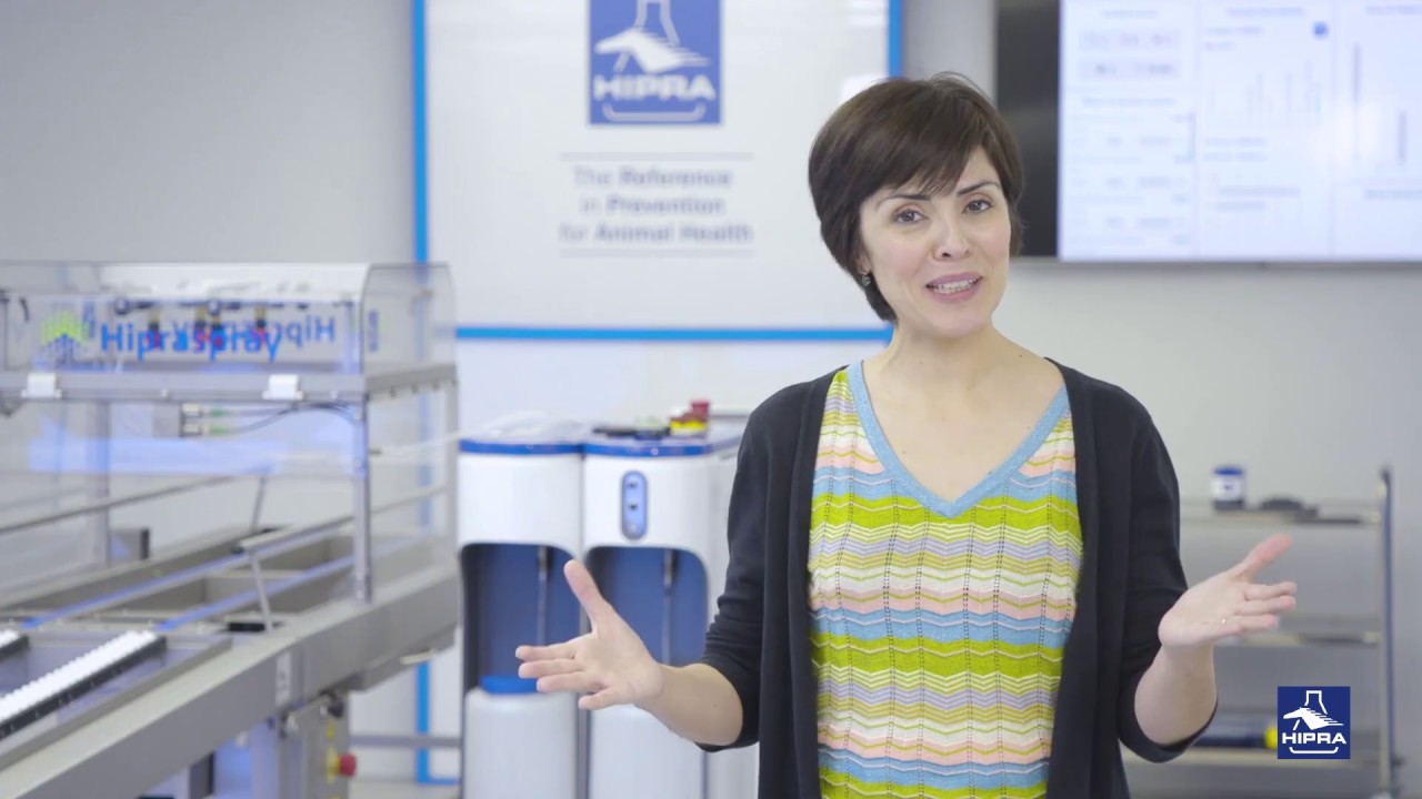 Meet the poultry - What's new in Spray Vaccination for Poultry? - YouTube