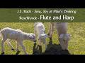 Jesu, Joy of Man's Desiring ~ peaceful flute and harp by Bach, performed by RoseWynde