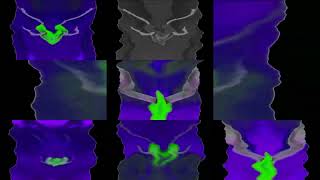 Dreamworks Animation SKG (Shark Tale Variant) in G-Major 2303 has a Sparta Gamma Remix