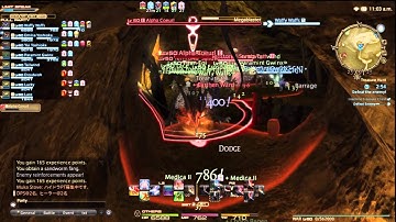 Final Fantasy XIV ARR - Treasure Hunt ( Peisteskin Map: Alpha Coeurl )