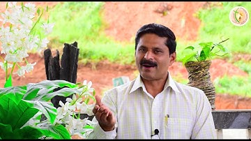 Sunday Catechism | Standard 12 | Chapter 1 | Part 2 | Jiji Vattamala