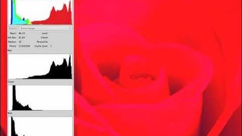 Histograms Part 2 - Two Minute Photo Tips