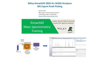 Pt 2:  MS Expert with Peak Picking for GCMS Identifications in Wiley KnowItAll  Software (2025)