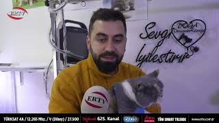Evci̇l Hayvanlara Mi̇kro Çi̇p Taktirmayanlara Ceza