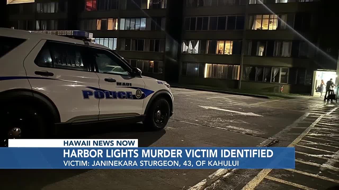 Man arrested after woman found dead in Maui home - YouTube