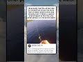 THE FULL MEASURE OF STUPIDITY