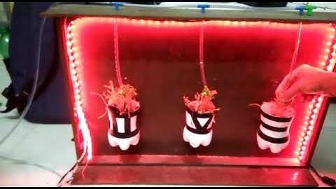 IoT based automated hydroponics