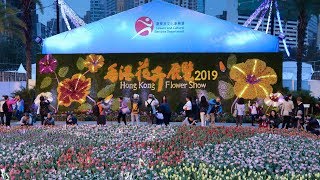 音樂相薄 - 香港花卉展覽  2019 Hong Kong Flower Show -- 維多利亞公園  Victoria Park -- Canon EOS R -190315