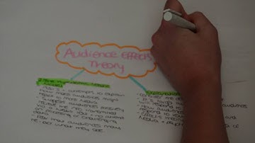 Audience Effects Theory