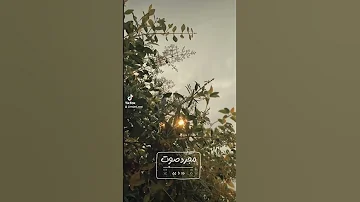 الأيام الصعبة ما بتبقى بدون موسيقى Shorts حالات واتس 