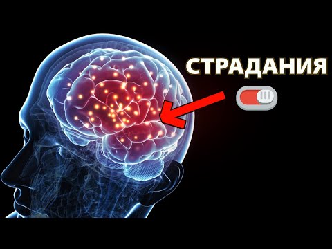 ТВОЯ ЖИЗНЬ МОМЕНТАЛЬНО ИЗМЕНИТЬСЯ | Сделав это действие вы Запрограммируете себя на Счастье и Успех