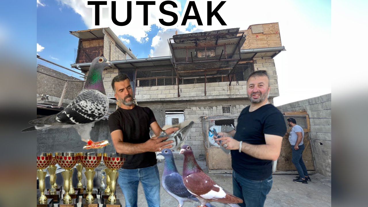 POSTACILARIN ŞAHI ANTEPLİ TUTSAK KRAL  KÜMESLERİ