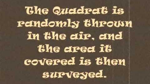 Ecology - The Quadrat