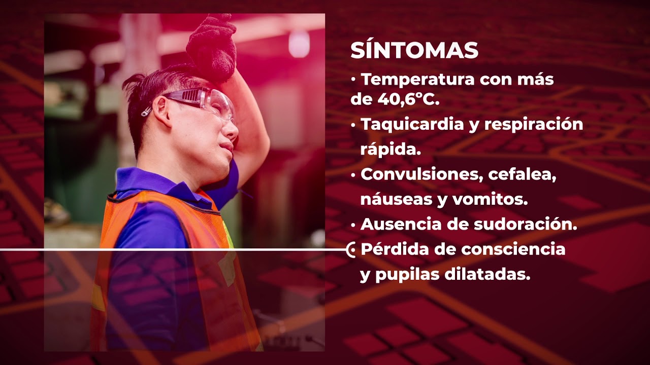 GUIA ESTRÉS TÉRMICO