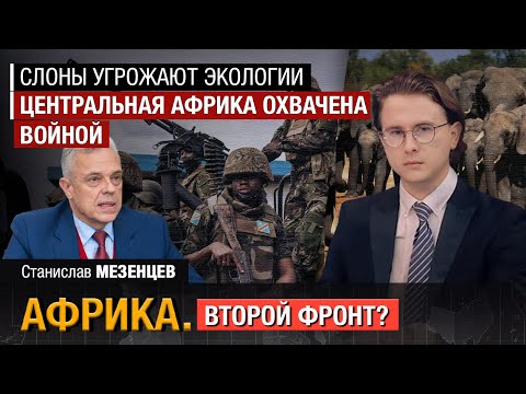 Война в Африке: Руанда и ДР Конго | Новая болезнь угрожает миру | В ЕС отправят тысячи слонов?