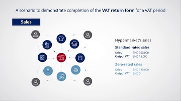 The National Bureau for Revenue Bahrain VAT Return Form Tutorial Video