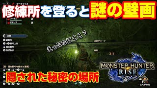 モンハンライズ 修練所を翔蟲で上に登っていくと謎の巨大壁画があるの知ってる モンスターハンターライズ Youtube