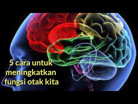 Video: Hoe Om Breinfunksie Te Verhoog
