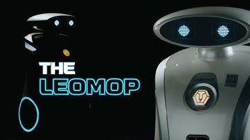 The LeoMop