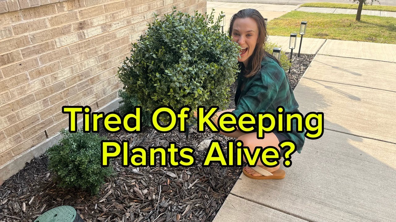 Amazon Must-Have: 26" Artificial Boxwood Topiary Tree for Stunning Indoor & Outdoor Decor