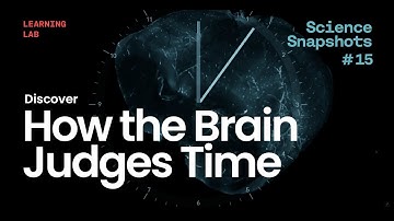 Science Snapshot: The Timekeepers Within: How the Brain Judges Time