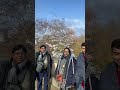 " BUCKINGHAM PALACE GARDEN AND IT'S SIGHTSEEING -- ONE DAY TRIPS TO LONDON "MOOL
