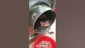 Máy tách xương cá CR200, máy tách xương cá tự động, máy tách xương cá làm chả