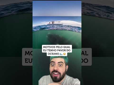 Vídeo: O oceano tem um alto npp?