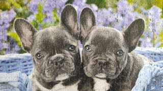 So Cute 🥰 French Bulldog Puppies Jigsaw Puzzle Time Lapse