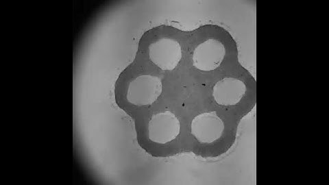 Tissue engineers recruit cells to make their own strong matrix