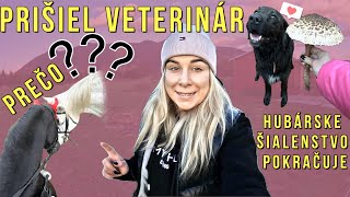 Prečo prišiel 💉veterinár?👨‍⚕ Hubárske šialenstvo😱 pokračuje!!🍄 | video so psami a koňmi | hubárčenie