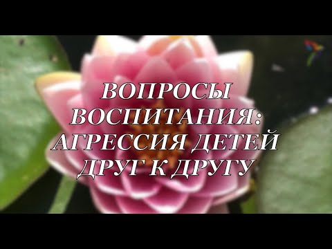 Вопросы воспитания: агрессия детей друг к другу