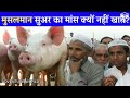 Why Muslim don't eat pork Scientific reason