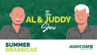 Summer Brassicas The Al Juddy Show Agriculture Podcast Agricom