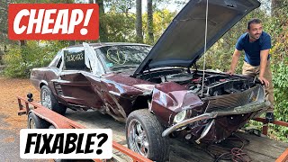 We Bought a Destroyed 1967 Mustang, Hiding Thousands in Mods!!!!