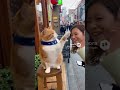 ショート動画やりたい企業様ソートライにご相談ください　福岡ショート動画制作　縦型ショート動画　福岡県中小企業振興センター　福岡商工会議所　会員　ふくおか経済　掲載企業　動画スタジオ