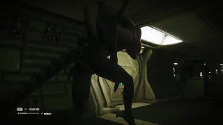 Alien: Isolation gives me a heart attack (emotional)