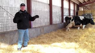 First Defense: Veterinarian's Perspective on Fresh Pen Management