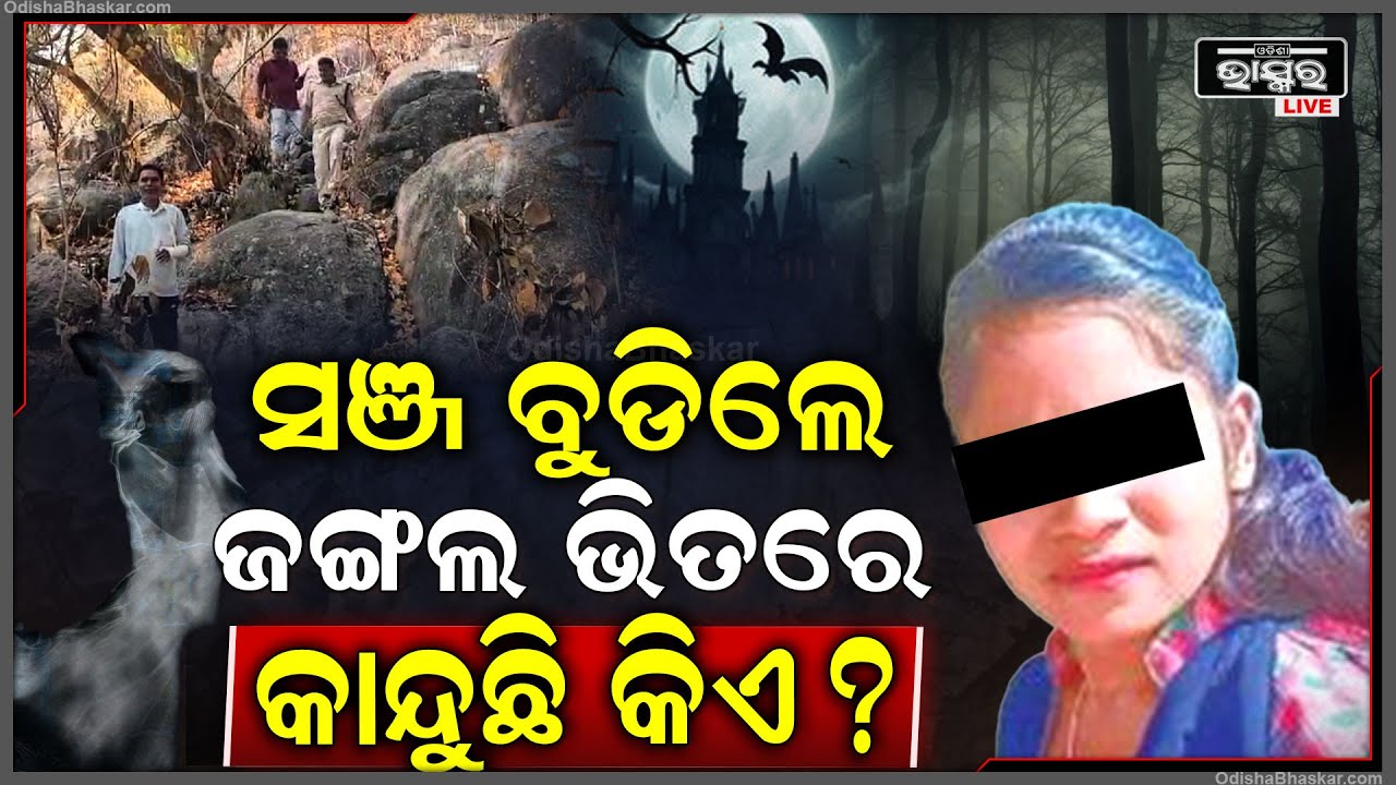 ସଞ୍ଜ ବୁଡିଲେ ଘଞ୍ଜ ଜଙ୍ଗଲ ଭିତରୁ ଭାସି ଆସୁଛି କଇଁ କଇଁ କାନ୍ଦ ସ୍ୱର , ଡରରେ ଥରିଲେଣି ଲୋକ !
