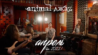 Animal ДжаZ — Апрель (Акустика, Live, 2021)