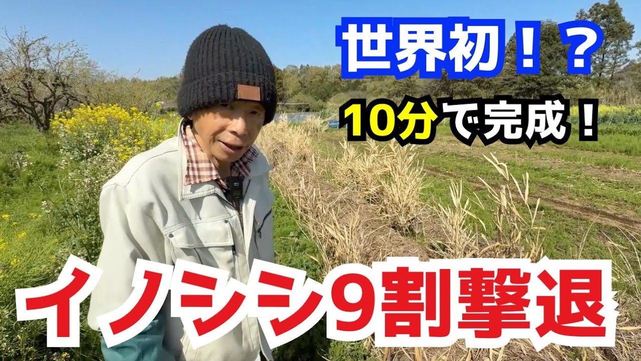 【世界初！？】たった10分の〇〇設置で「９割の害獣」（イノシシ・ハクビシン・アライグマ〕を防げる方法