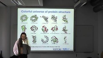 Protein Prediction 2 for Computer Scientists - Lecture 2, Introduction to protein function