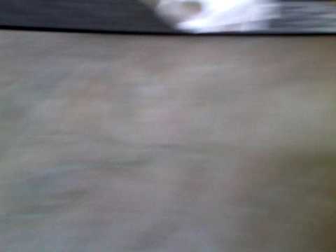 ჩემი ტყლარწები