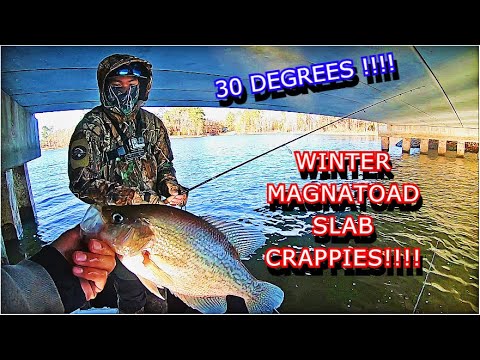 WINTER BRIDGE CRAPPIE FISHING WITH OG SUBSCRIBER!!!! 