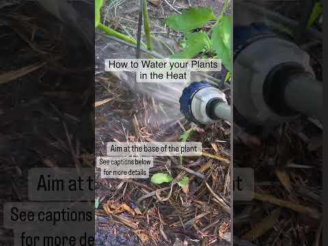 How to water