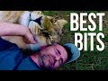 They Have Their Moments! | The Lion Whisperer