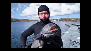 Norway best spearfishing moments 2015