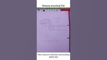 M.Sc. botany practical file || Plant resource utilization and breeding MBOT-402 || HPU #botanynotes