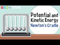 Energy Transformations in Newton's Cradle