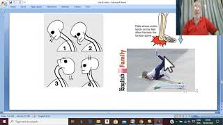 Orthopedic In Arabic 26 Fracture Spine , Part 1 , By Dr. Wahdan